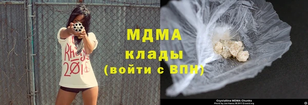 хмурый Аркадак