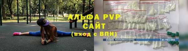 хмурый Аркадак