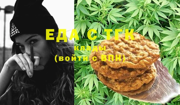 хмурый Аркадак