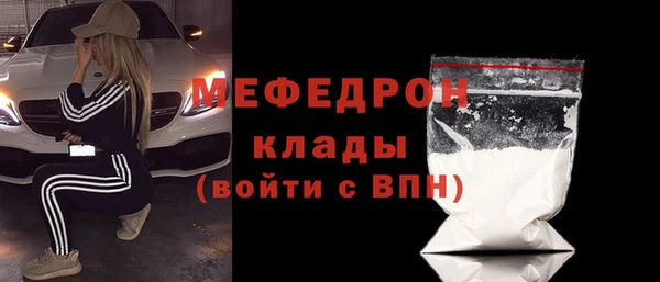 хмурый Аркадак