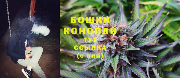 ПСИЛОЦИБИНОВЫЕ ГРИБЫ Арсеньев
