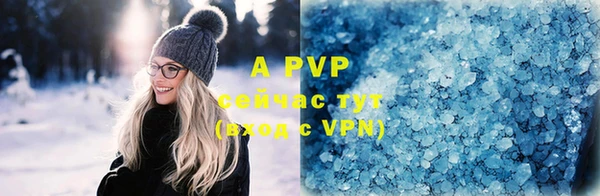 хмурый Аркадак
