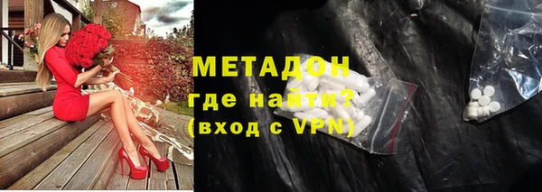 хмурый Аркадак