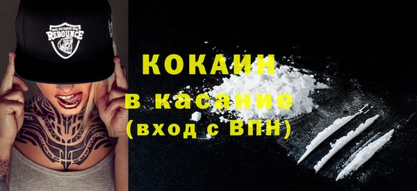 хмурый Аркадак