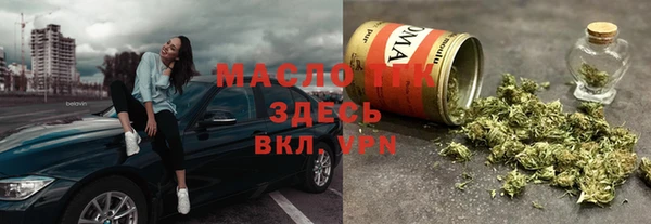 хмурый Аркадак