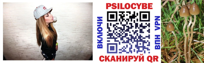 hydra как войти  Истра  Галлюциногенные грибы Cubensis 